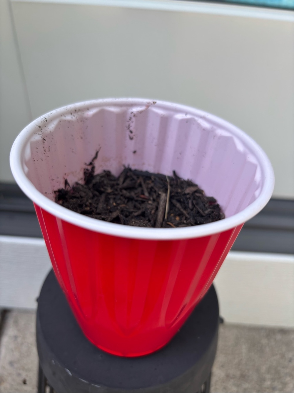 Red Plastic Party Cup - Solid Red